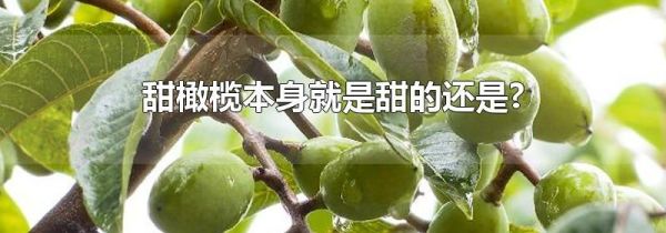 甜橄榄本身就是甜的还是?