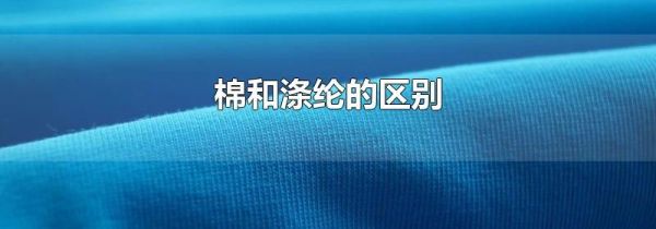 棉和涤纶的区别