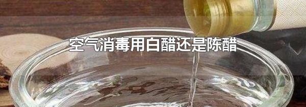 空气消毒用白醋还是陈醋