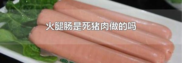 火腿肠是死猪肉做的吗