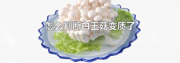 怎么判断白玉菇变质了
