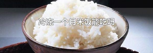 冷冻一个月米饭能吃吗