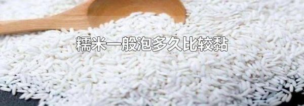 糯米一般泡多久比较黏