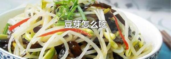 豆芽怎么吃
