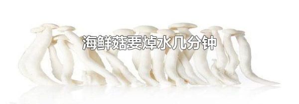 海鲜菇要焯水几分钟