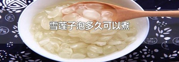 雪莲子泡多久可以煮