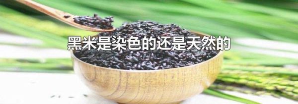 黑米是染色的还是天然的