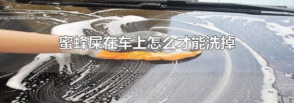 蜜蜂屎在车上怎么才能洗掉