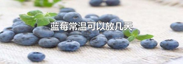 蓝莓常温可以放几天