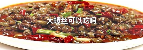 大螺丝可以吃吗