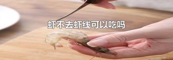 虾不去虾线可以吃吗