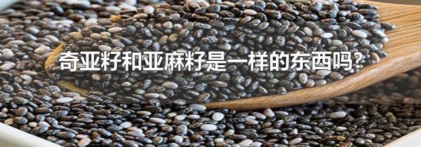 奇亚籽和亚麻籽是一样的东西吗?
