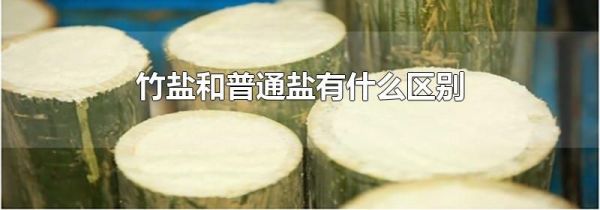 竹盐和普通盐有什么区别