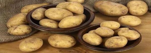 土豆和米饭哪个含糖高