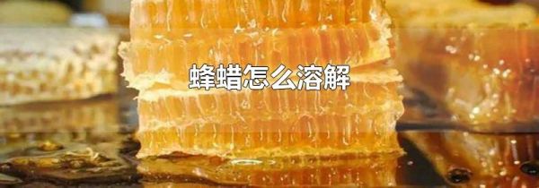 蜂蜡怎么溶解