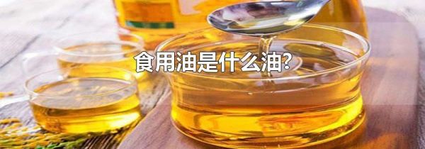 食用油是什么油?