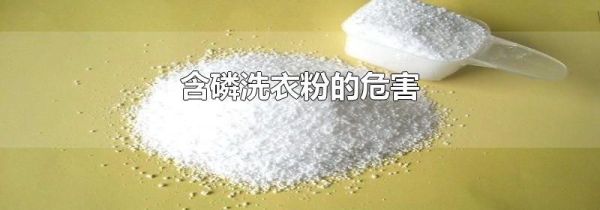 含磷洗衣粉的危害