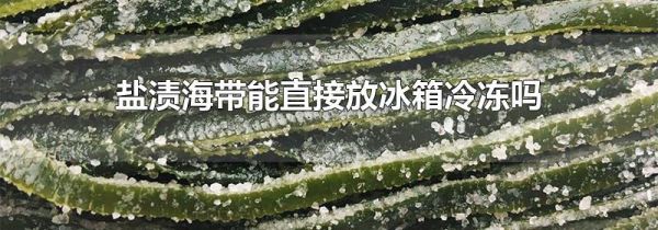 盐渍海带能直接放冰箱冷冻吗