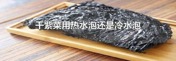 干紫菜用热水泡还是冷水泡