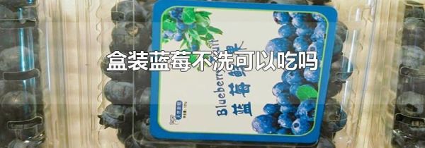 盒装蓝莓不洗可以吃吗