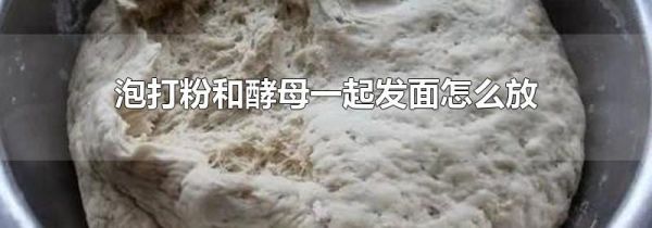 泡打粉和酵母一起发面怎么放