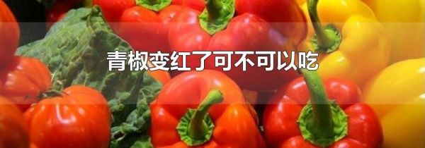 青椒变红了可不可以吃