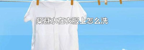 桑葚水在衣服上怎么洗