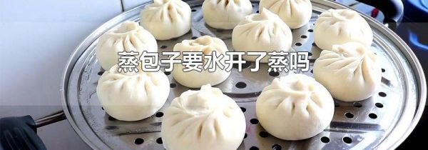蒸包子要水开了蒸吗