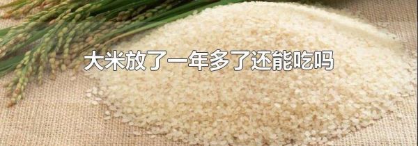 大米放了一年多了还能吃吗