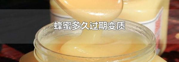蜂蜜多久过期变质