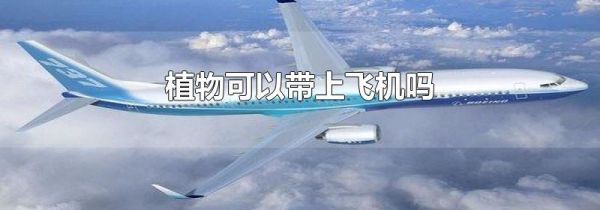 植物可以带上飞机吗