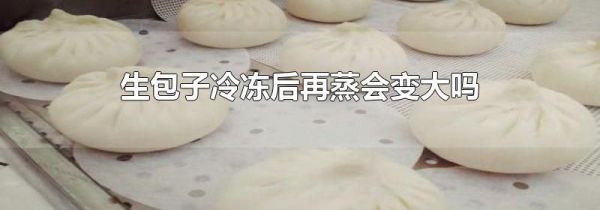 生包子冷冻后再蒸会变大吗