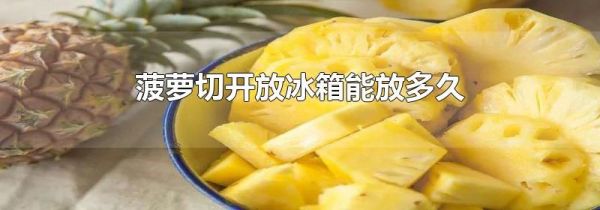 菠萝切开放冰箱能放多久