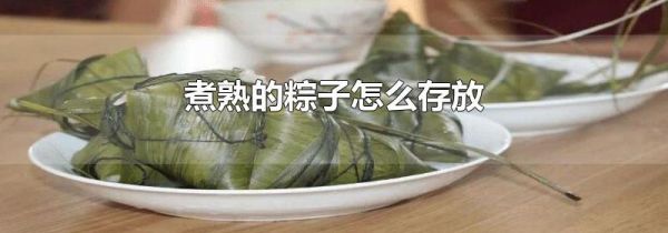 煮熟的粽子怎么存放