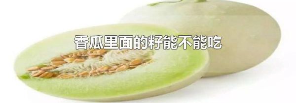 香瓜里面的籽能不能吃