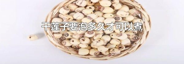 干莲子要泡多久才可以煮