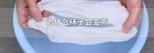 为什么袜子会变黄