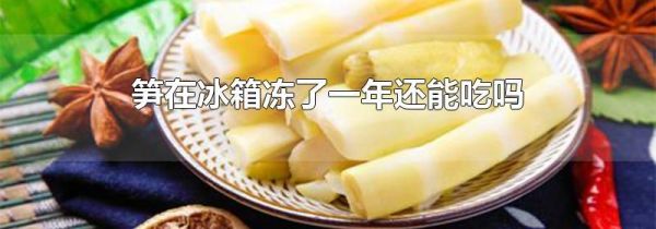 笋在冰箱冻了一年还能吃吗