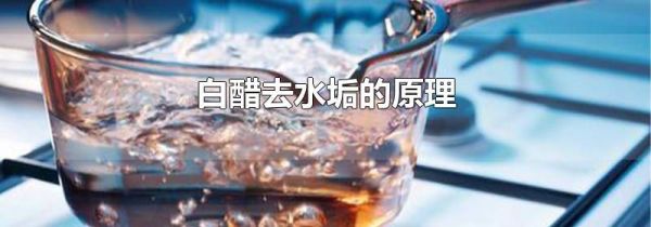 白醋去水垢的原理