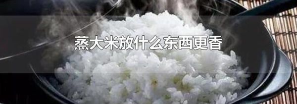 蒸大米放什么东西更香