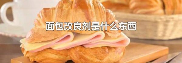 面包改良剂是什么东西