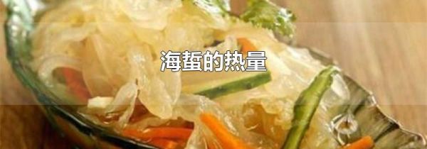 海蜇的热量