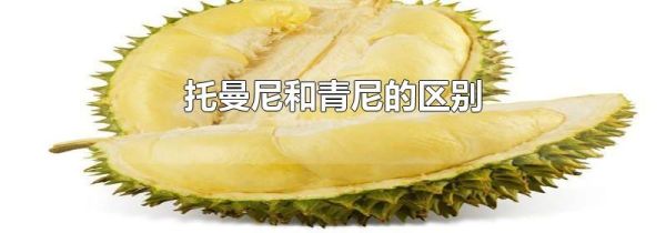 托曼尼和青尼的区别