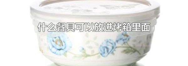 什么餐具可以放进烤箱里面