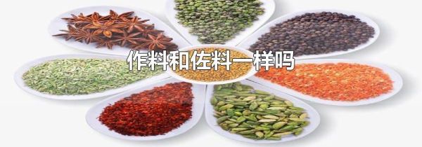 作料和佐料一样吗
