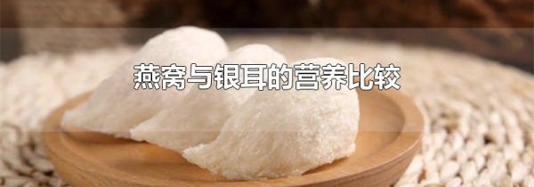 燕窝与银耳的营养比较