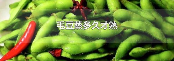 毛豆蒸多久才熟