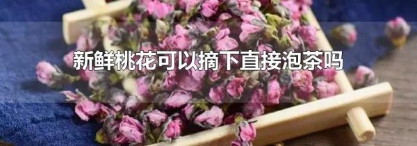 新鲜桃花可以摘下直接泡茶吗