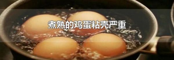 煮熟的鸡蛋粘壳严重