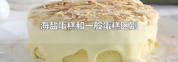 海盐蛋糕和一般蛋糕区别